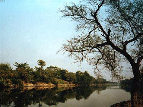 East Kolkata Wetlands lock down over 60 percent carbon from sewage: Study