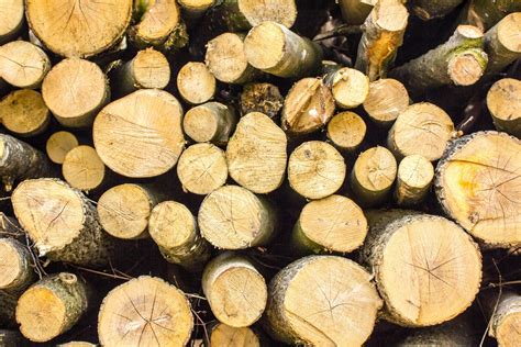 Pile of wood logs 1271649 Stock Photo at Vecteezy