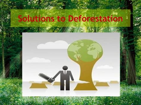 Gido Watch - Solutions to deforestation