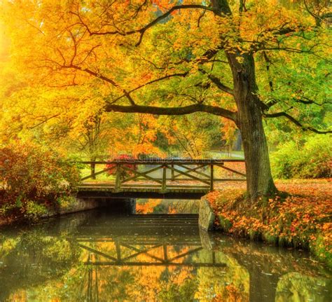 Beautiful Autumn Scenery in Park. Stock Photo - Image of bridge, brook: 101482086