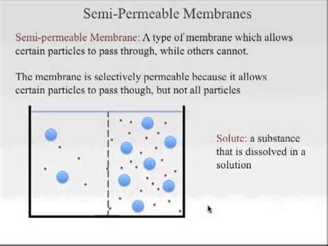 Semi Permeable Membranes.mov - YouTube