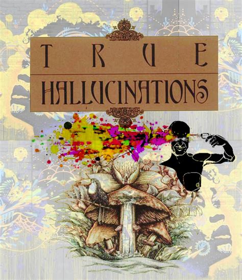 True Hallucinations: A Terence McKenna Psychedelic Book (Audiobook ...