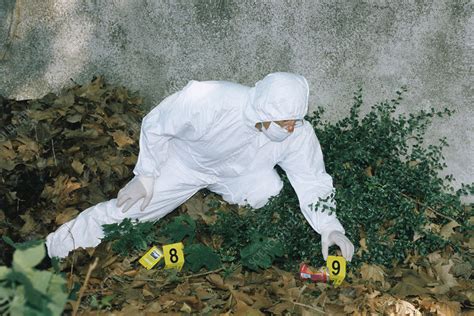 Forensics officer at a crime scene - Stock Image - H200/0425 - Science Photo Library