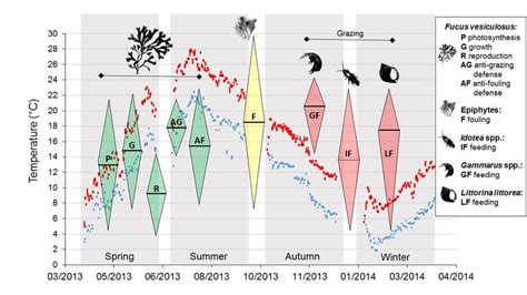 Projection of the performance diamonds onto the ambient (blue dots) and... | Download Scientific ...