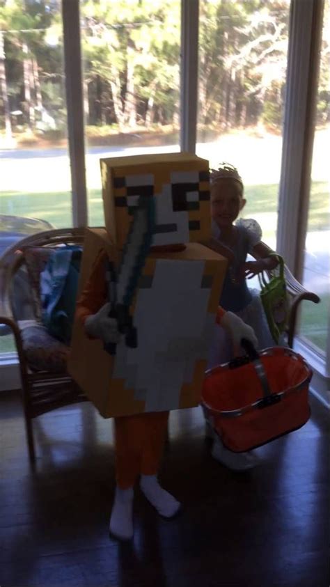 Hallie's Stampy Cat Halloween Costume | Cat halloween costume, Halloween cat, Stampy cat