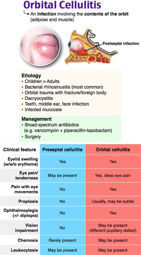 Rosh Review | Emergency medicine, Medical knowledge, Emergency medicine doctors