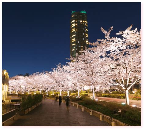 TOKYO MIDTOWN BLOSSOM 2020 | TOKYO MIDTOWN