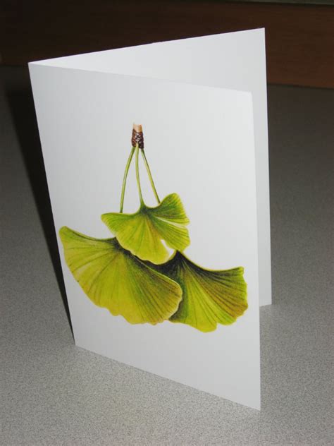 Ginkgo Leaf, Watercolor Painting - Etsy