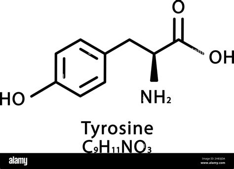 Tyrosine molecular structure. L-Tyrosine skeletal chemical formula ...