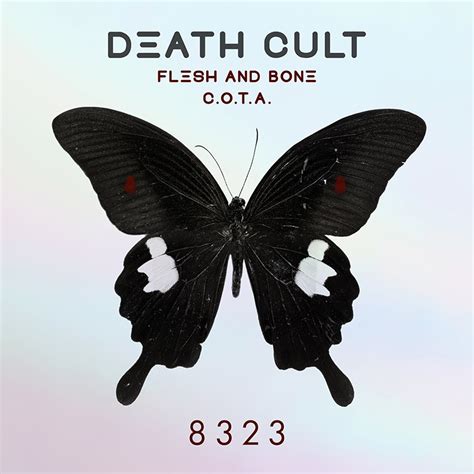 SPILL NEW MUSIC: THE CULT PRESENTS 'DEATH CULT - 8323' BRAND NEW 7" INCLUDING TRACKS "FLESH AND ...