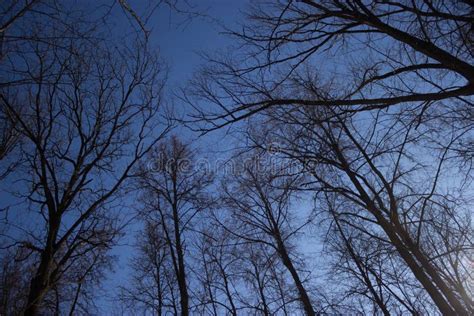 Scary night sky stock image. Image of distant, night - 118684471