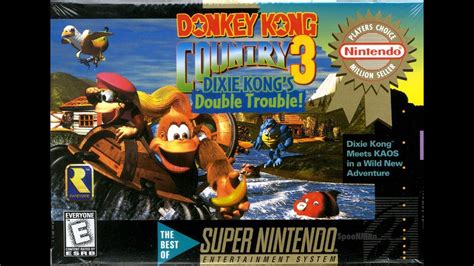 Donkey Kong 3 (SNES) (Gameplay) [FHD/4:3@30] - YouTube