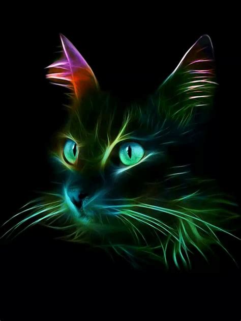 Rainbow Cats Wallpapers - Wallpaper Cave