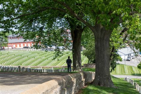 DVIDS - Images - Jefferson Barracks National Cemetery [Image 2 of 5]