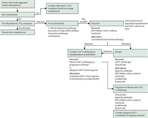 Treatment approaches for patients with TP53-mutated mantle cell lymphoma - The Lancet Haematology