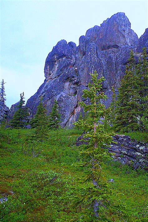 This Scenic Hiking Trail In Alaska Has Jaw Droppingly Beautiful Views! | Alaska, Wandern, Wanderweg