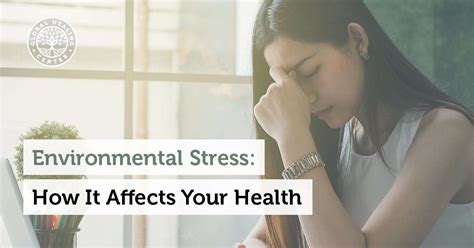 Environmental Stress: How it Affects Your Health