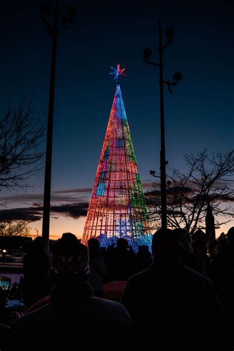 Going to Denver this holiday season? Walk inside the digital tree - Los ...