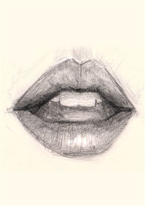 Teeth In Mouth Drawing at GetDrawings | Free download