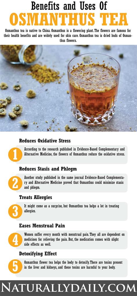 12 Osmanthus Tea Benefits and Uses with Healthy Tea Recipes! | Healthy ...