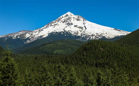photography, Nature, Landscape, Snowy peak, Blue, Sky, Forest, Pine trees, Mount Hood, Oregon ...