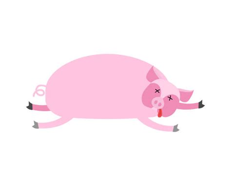 Dead Pig Illustrations, Royalty-Free Vector Graphics & Clip Art - iStock