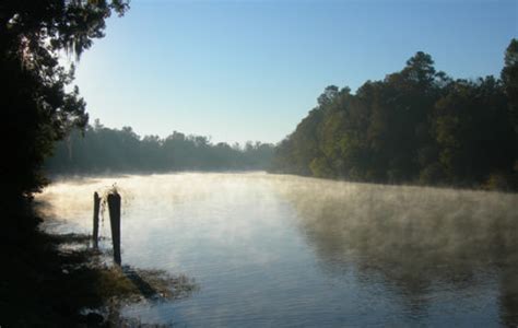 Cape Fear River - American Rivers