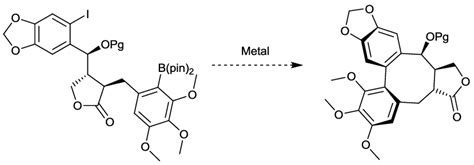 ntramolecular Suzuki coupling | Download Scientific Diagram