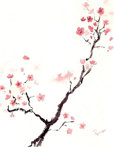 Cherry Blossom Pencil Drawing | Free download on ClipArtMag