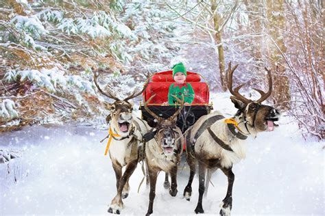 Santas Sleigh And Reindeer Realistic