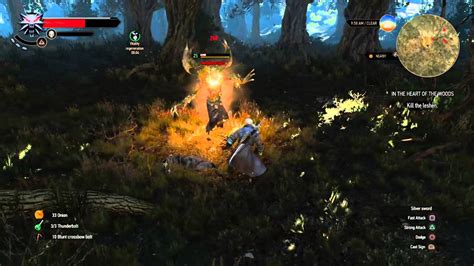 The Witcher 3: Wild Hunt - Leshen Boss Fight - YouTube