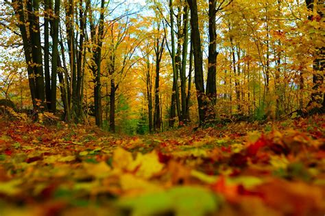 Autumn in New Hampshire. : r/newhampshire