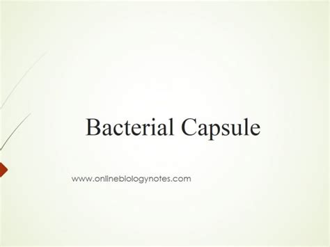 Bacterial cell structure and function - Online Biology Notes