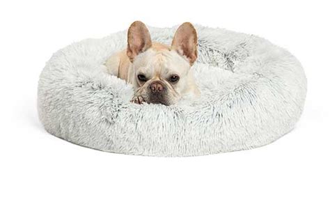 Is a Donut Bed Right for Your Dog? Facts & Options – Dogster