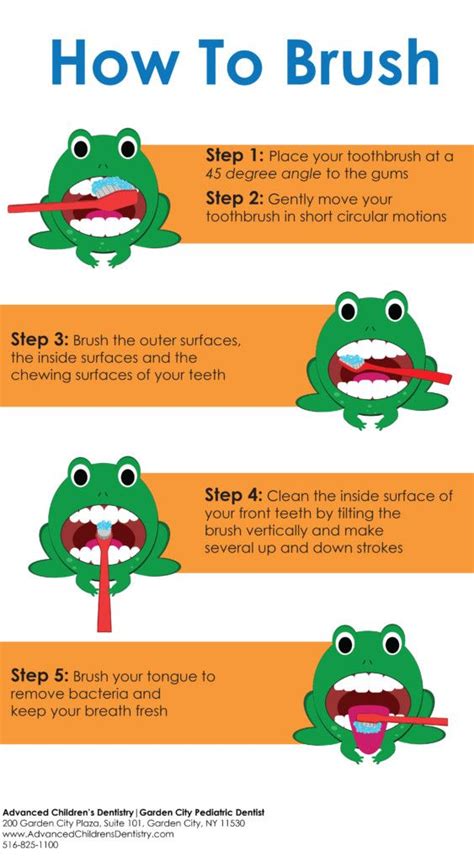 brushing teeth infograph final orange box | Dental facts, Dentistry, Dental fun