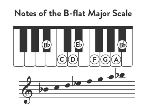 B-Flat Major Scale on Piano - Hoffman Academy Blog