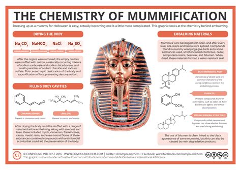 Compound Interest: The Chemistry of Mummification