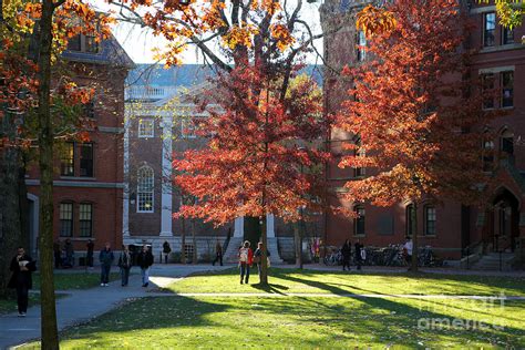 Harvard Yard Lehman Hall in Fall Photograph by Jannis Werner - Fine Art America