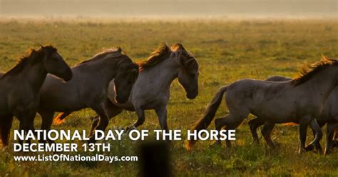 NATIONAL DAY OF THE HORSE