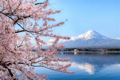 64,300+ Volcano In Japan Stock Photos, Pictures & Royalty-Free Images ...