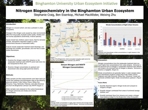 Nitrogen Biogeochemistry in the Binghamton Urban Ecosystem