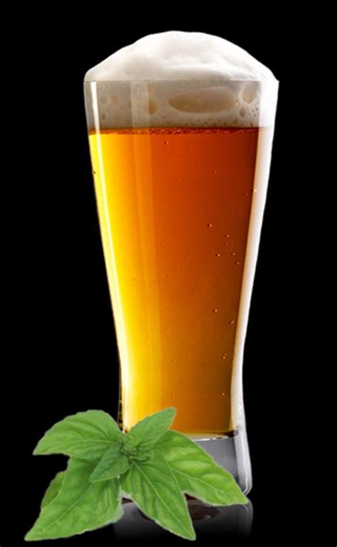 31 Best Homemade Beer Recipes