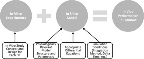 In Silico Modeling Approaches Coupled with In Vitro Characterization in ...