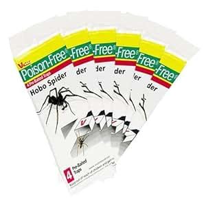 Amazon.com : Victor Hobo Spider Trap (6 Pack) 24 Traps Total : Insect ...