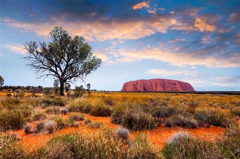 Uluru Australia : Uluru, Ayers Rock - Crystalinks - With an absolute plethora of bushwalk trails ...