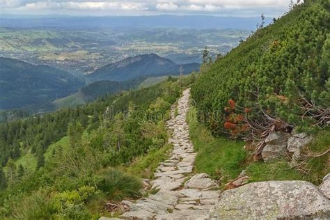 A Stony Path High in the Mountains. Zakopane, Tatra Mountains, Poland ...