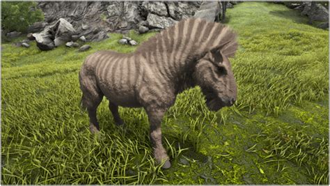 Ark Equus (Abilities, Taming, Food, Saddle, Breeding, Drops & Location ...