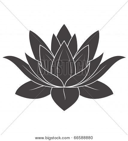 Lotus Flower Vector & Photo (Free Trial) | Bigstock