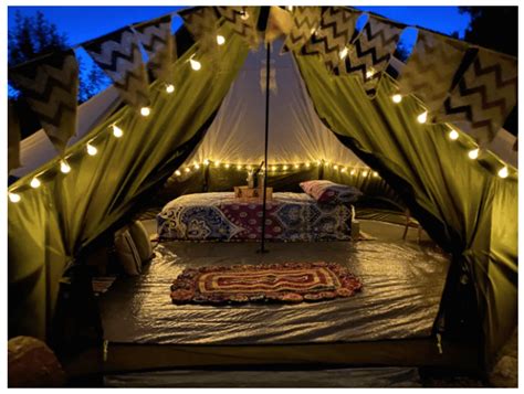 6 Amazing Places to Go Glamping in the New Forest