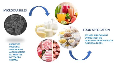 Molecules | Free Full-Text | The Role of Microencapsulation in Food ...